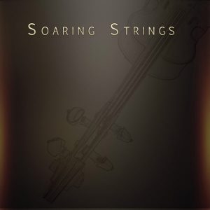 飞天弦乐！Musical Sampling Soaring Strings KONTAKT | 声音猎手