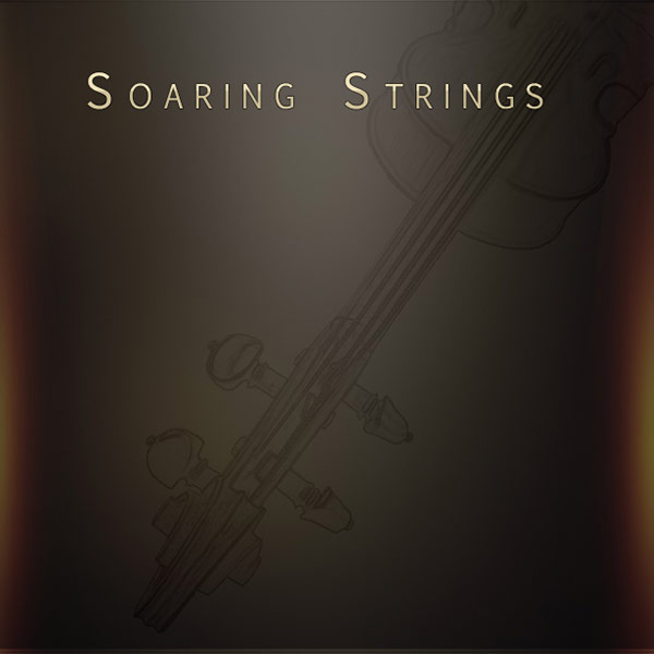 飞天弦乐！Musical Sampling Soaring Strings KONTAKT | 声音猎手