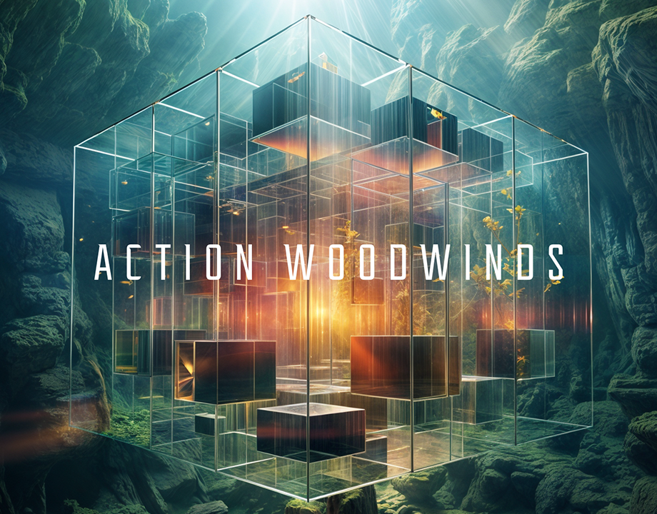 全新影视木管乐句音源！Native Instruments Action Woodwinds v1.0.0 KONTAKT | 声音猎手